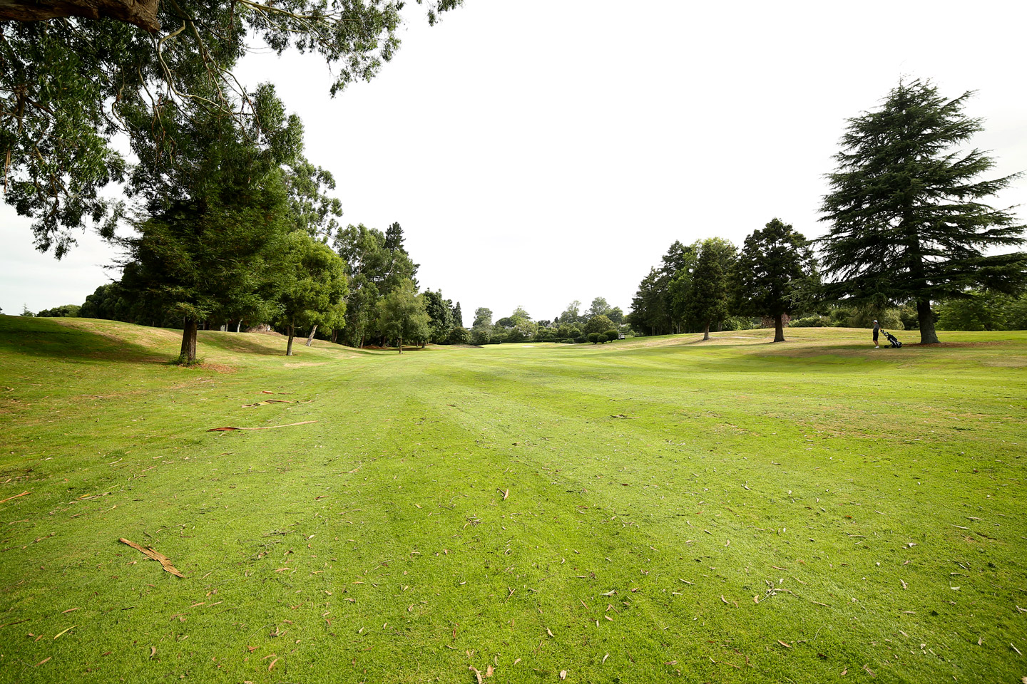 Hamilton Golf Club - St Andrews